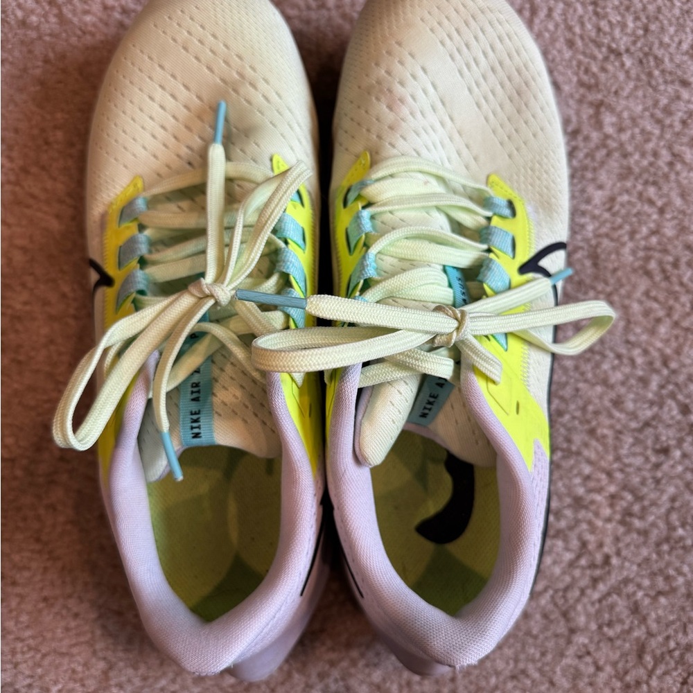 Nike Air Pegasus 38 Women’s Running Shoe Size 10